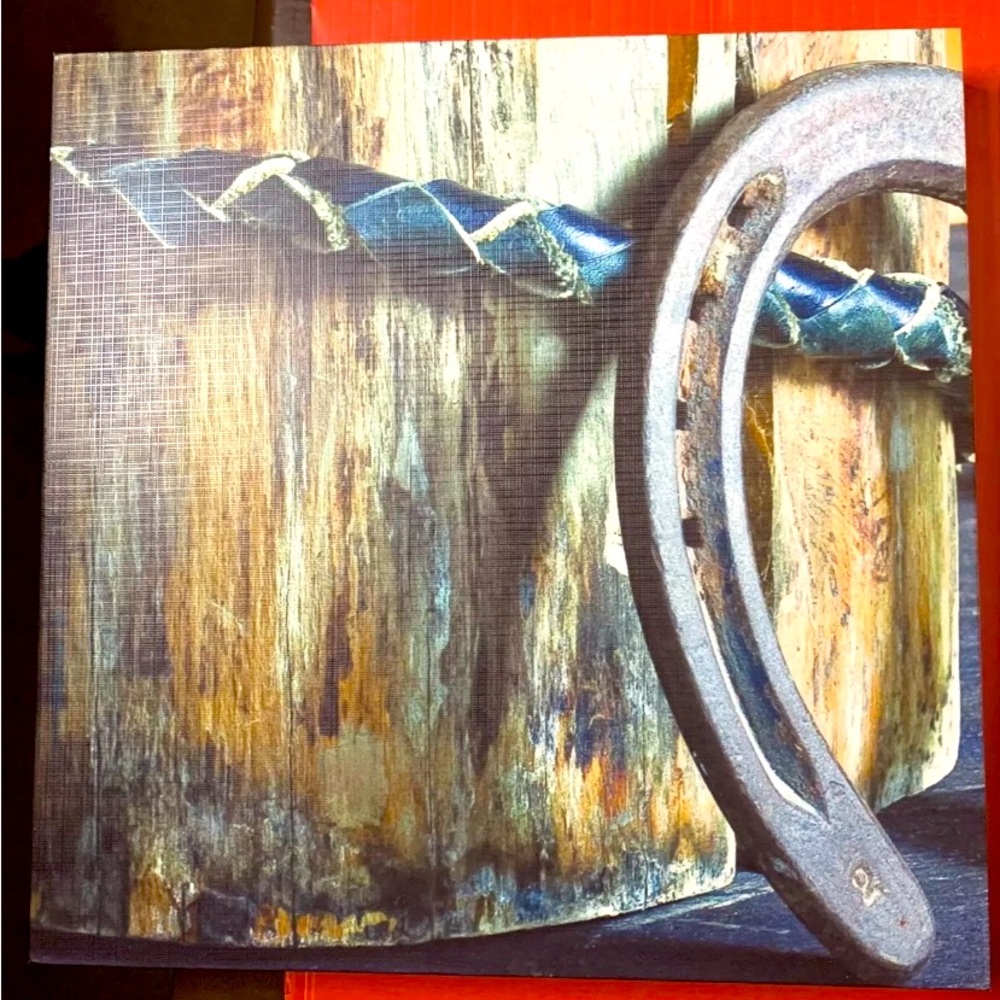 Triptych (3) Piece Canvas Art Mac & Jac  Gift of Art Cowboy Horseshoes Pre-Owned